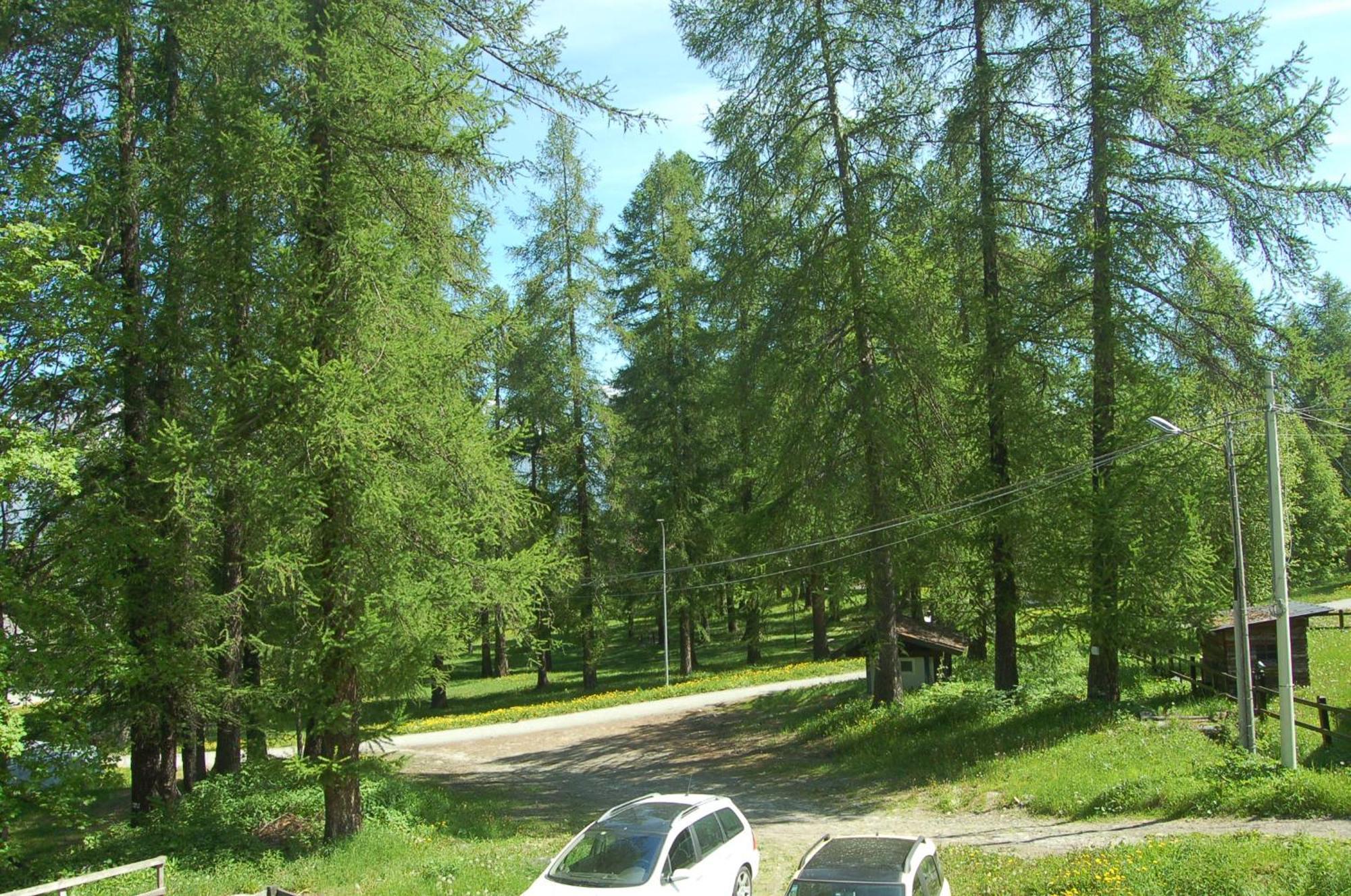 ChiomonteMontagna Che Passione公寓 外观 照片