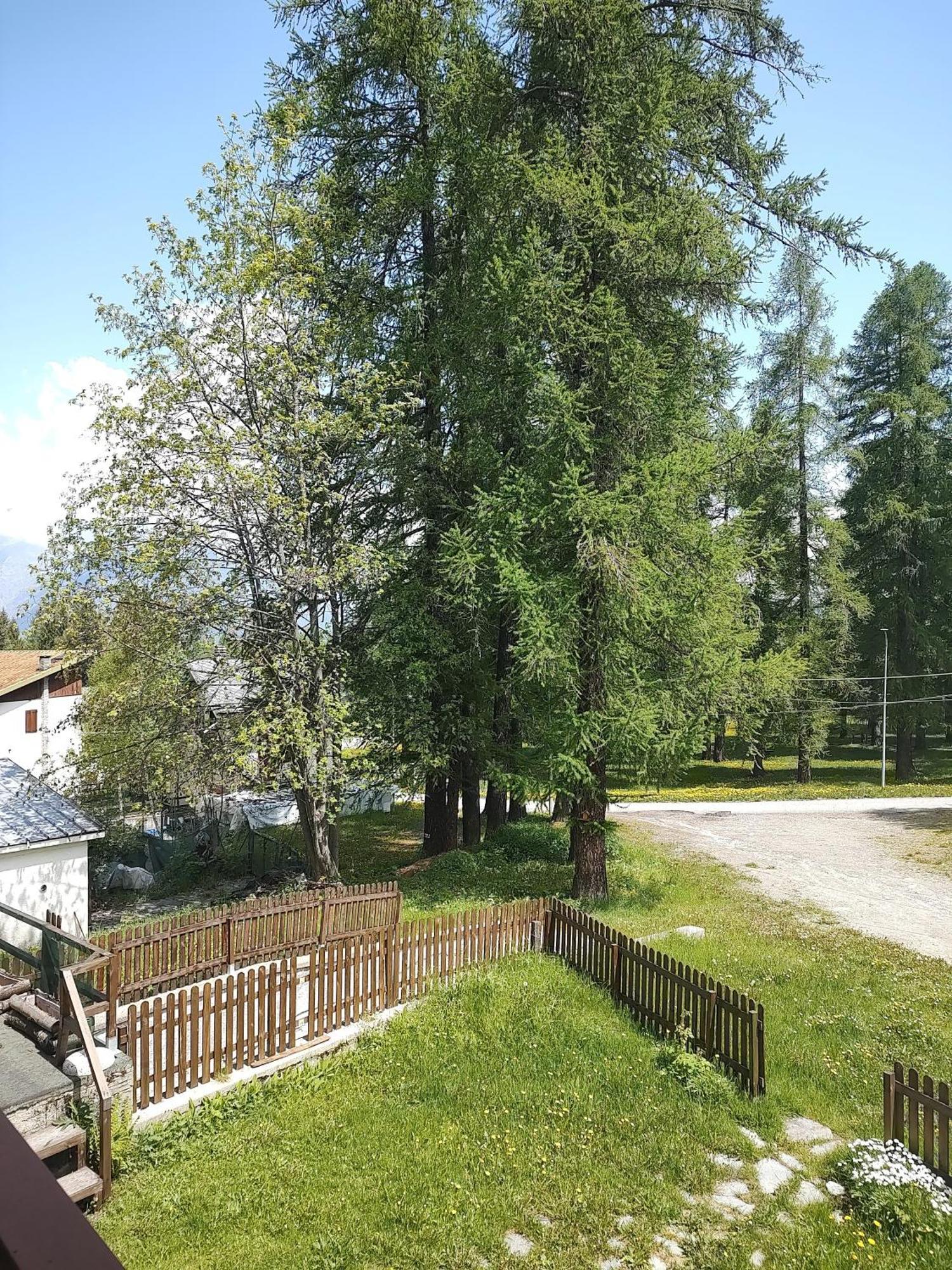 ChiomonteMontagna Che Passione公寓 外观 照片