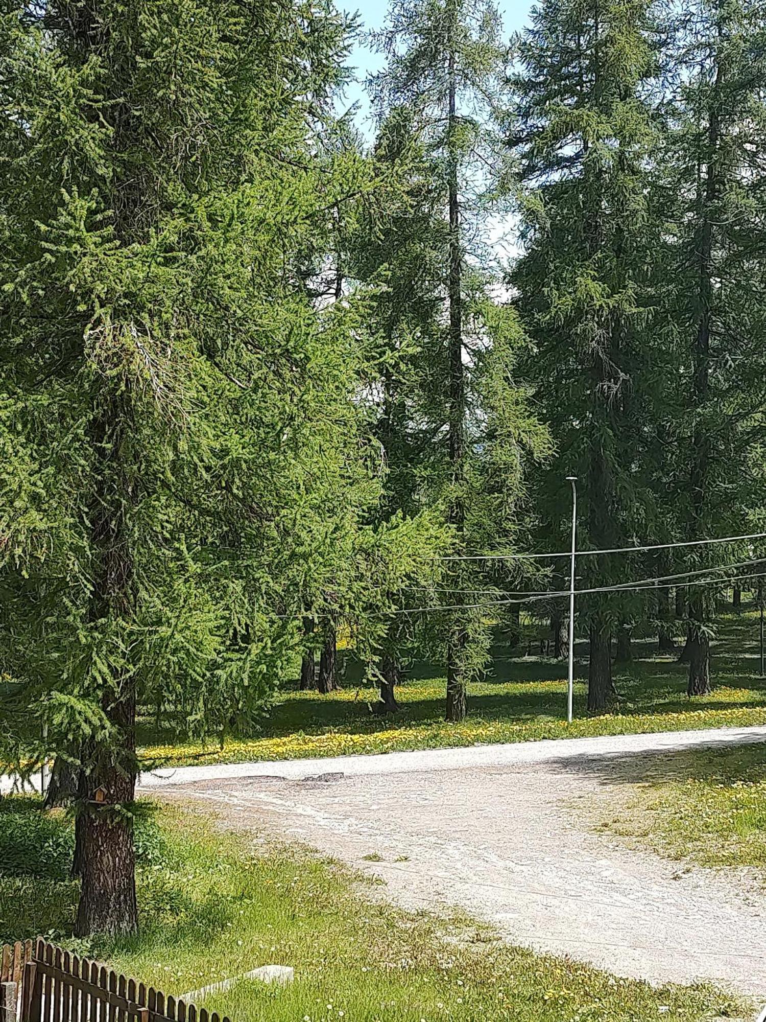 ChiomonteMontagna Che Passione公寓 外观 照片